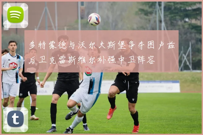 多特蒙德与沃尔夫斯堡争夺图卢兹后卫克雷斯维尔补强中卫阵容