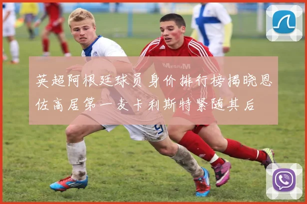 英超阿根廷球员身价排行榜揭晓恩佐高居第一麦卡利斯特紧随其后